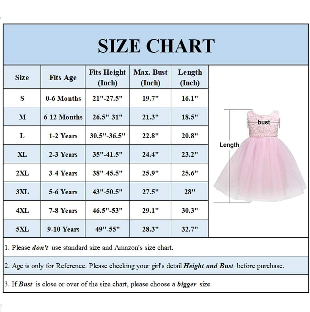 Flower Girl Dress Toddler Formal Baptism Ball Gown for 1M-10T